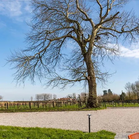 Bed & Breakfast Chez Watersy Belle-et-Houllefort